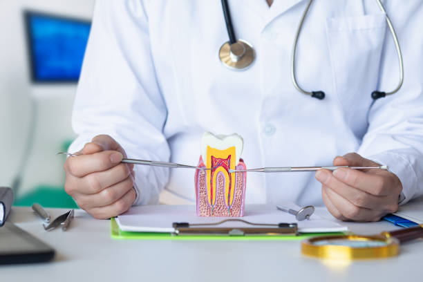 Best Broken or Cracked Tooth Emergency Dentist in Gibbstown, NJ